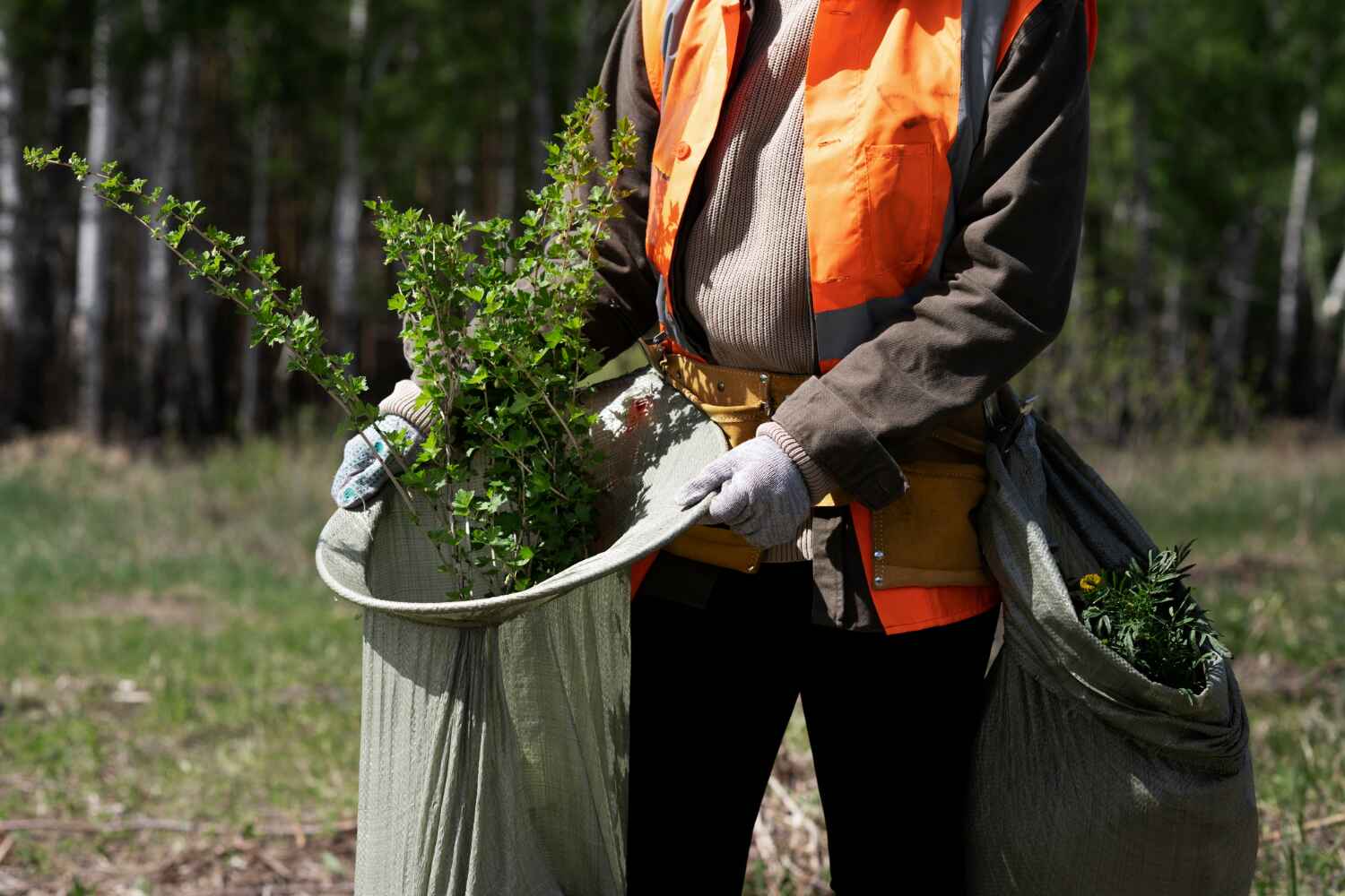 Best Dead Tree Removal  in Orida Ridge, FL